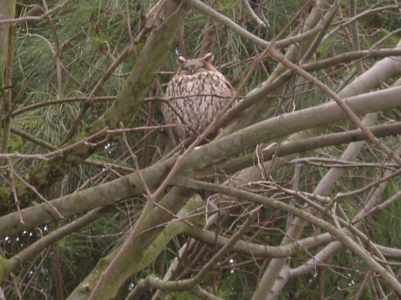 Cosa vedi da ..........